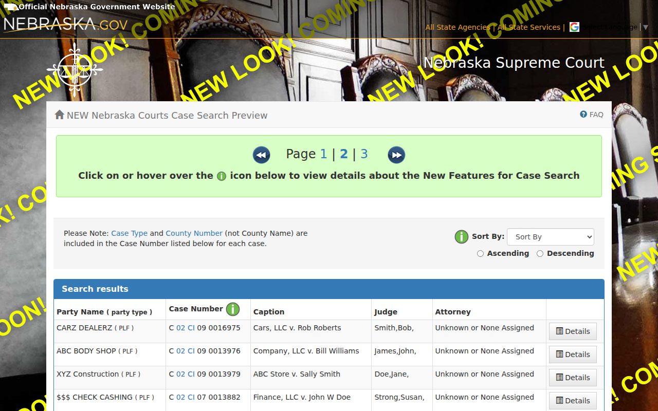Buffalo County case lookup results with party name, case number, caption, judge, attorney, and details