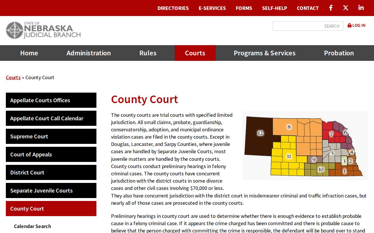 Gibbon docket search image of Nebraska County Court jurisdiction information